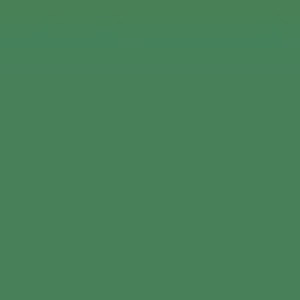 Colour Stain - Grass Green
