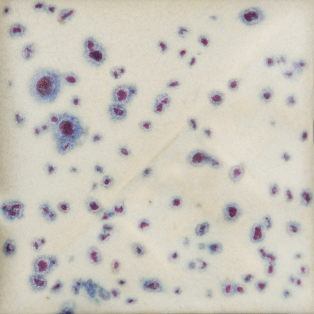 Mayco Stoneware Crystal Glaze - SW-153 Indigo Rain