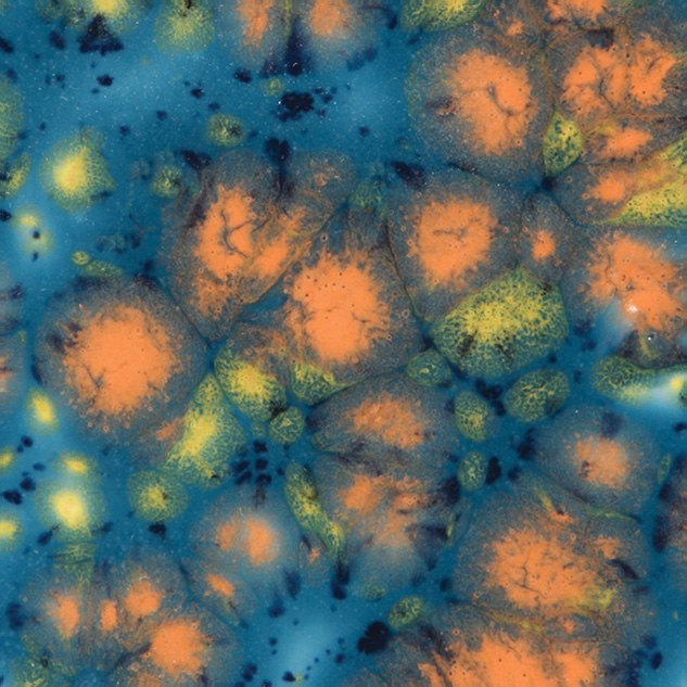 Mayco Jungle Gem - CG-983 Koi Pond
