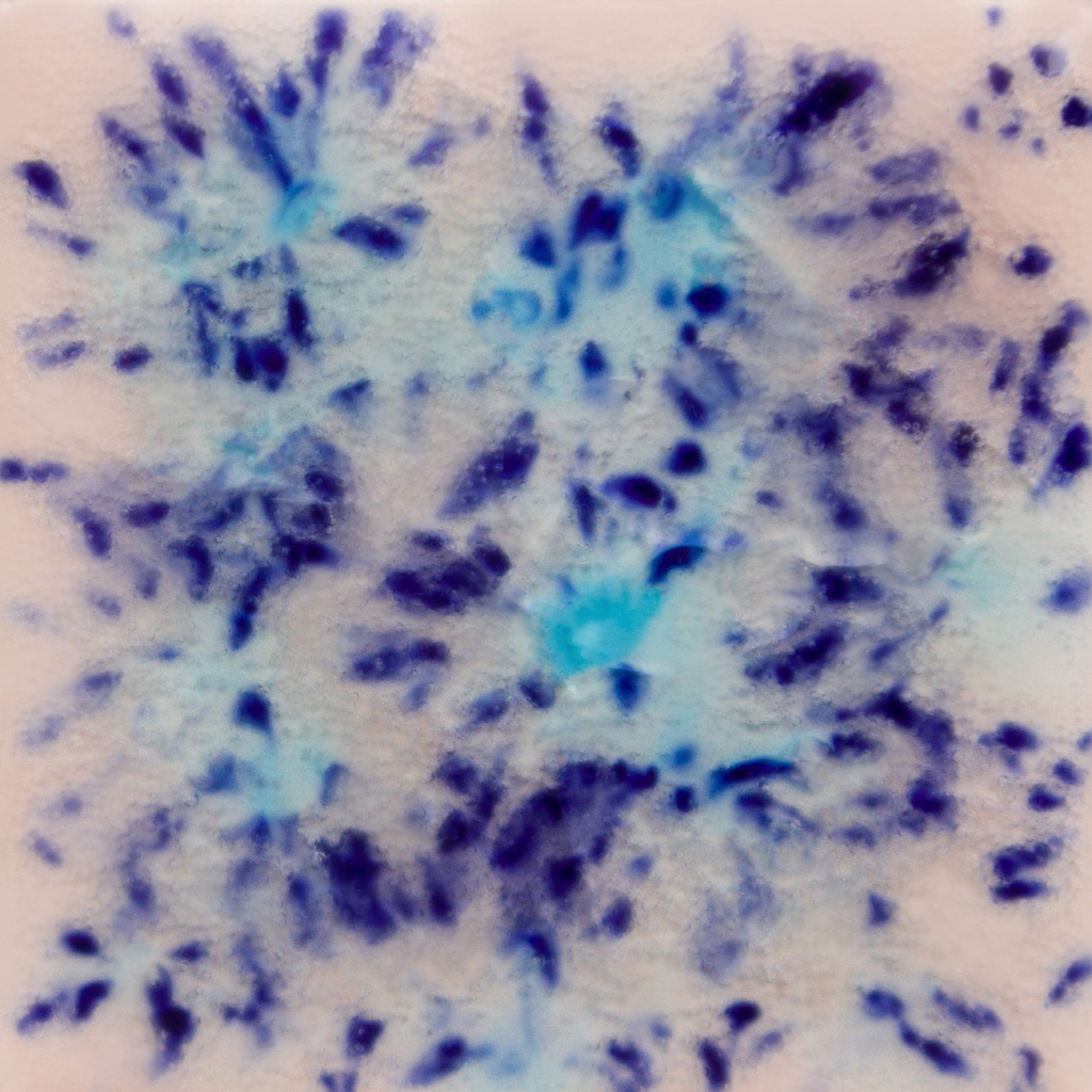 Mayco Crystalites - S-2702 Northern Lights
