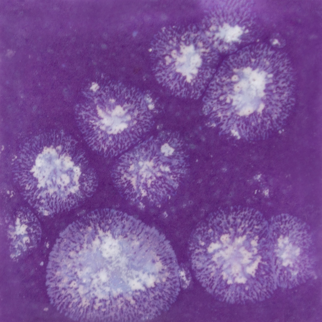 Mayco Crystalites - S-2723 Grape Divine