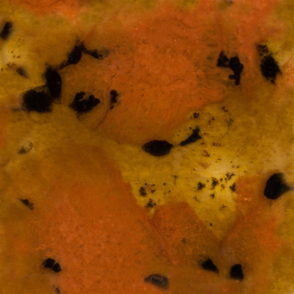 Mayco Crystalites - S-2725 Safari