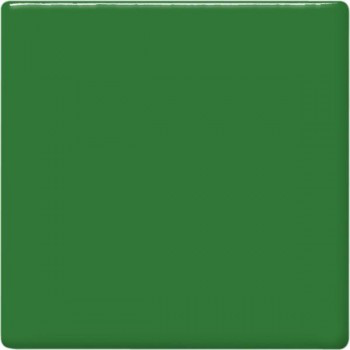 Amaco Teacher's Palette - TP-41 Frog Green
