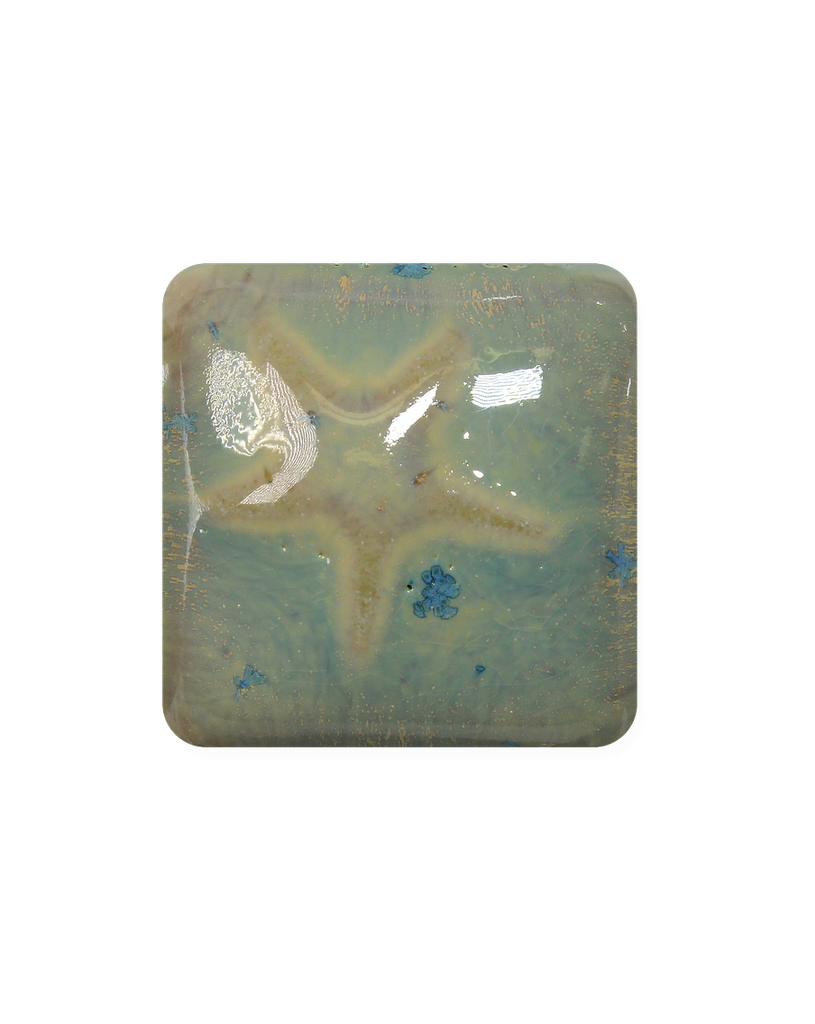 Laguna USA - Mid-fire Cone 5 Mystic & Dynasty Textured Series - MS-228, Sea Gold