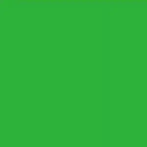 [PPS Mid Green] 色紙 - 中綠