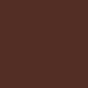 [PPS Brown] 色紙 - 啡