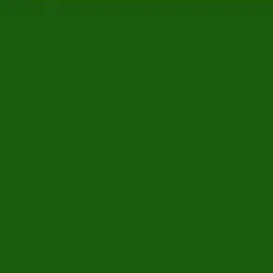 [PPS Dark Green] 色紙 - 深綠