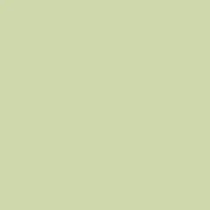 [PPS Light Green] 色紙 - 淺綠