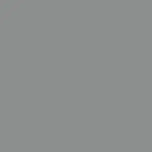 [PPS Grey] 色紙 - 灰