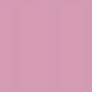[PPS Pink] 色紙 - 粉紅