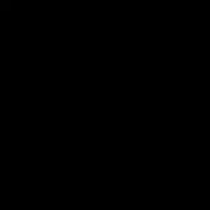 [PPS Black] 色紙 - 黑
