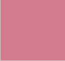[MS-6000] MS-6000 Mason Stain - Shell Pink