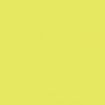 [RV303] RV303 New Stain Series - Yellow