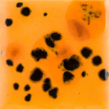 [CG-1013] Mayco Jungle Gem - CG-1013 PAPAYA