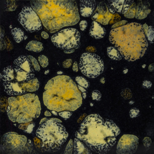 [CG-798] Mayco Jungle Gem - CG-798 Black Iris