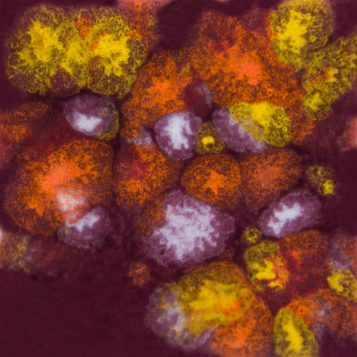 [CG-969] Mayco Jungle Gem - CG-969 Floral Fantasy