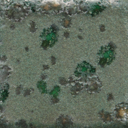 [CG-973] Mayco Jungle Gem - CG-973 Alligator