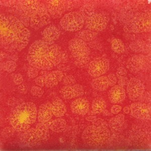 [CG-989] Mayco Jungle Gem - CG-989 Fruit Punch