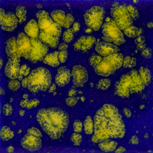 [CG-990] Mayco Jungle Gem - CG-990 Starry Night