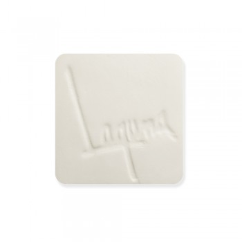 [L066] Laguna L066 B Mix 06 Low-Fire White Clay